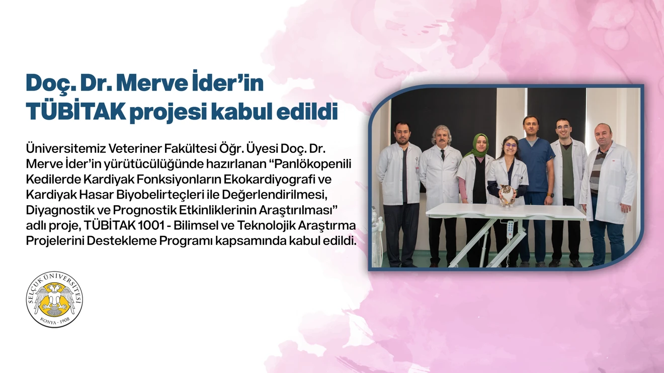 Doç. Dr. Merve İder’in TÜBİTAK projesi kabul edildi 